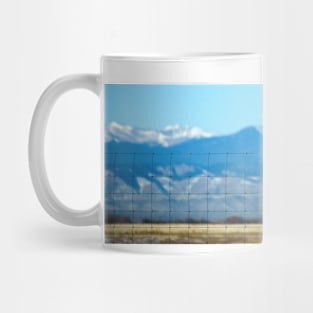 Ferruginous Hawk Mug